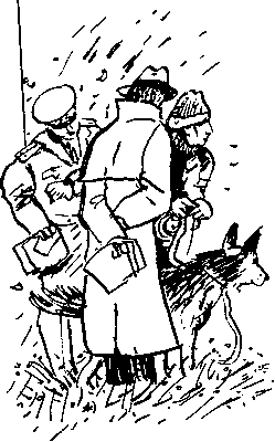 Собрание сочинений в 10 томах. Том 3. Мальтийский жезл - i_005.png