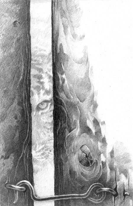 Под знаком тигра - i_007.jpg