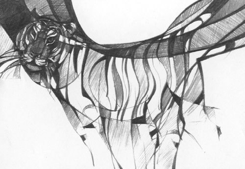 Под знаком тигра - i_008.jpg