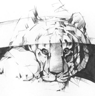 Под знаком тигра - i_010.jpg