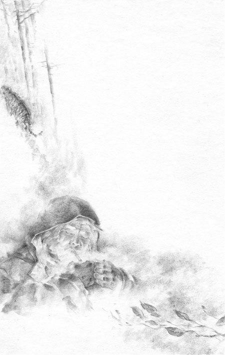 Под знаком тигра - i_011.jpg