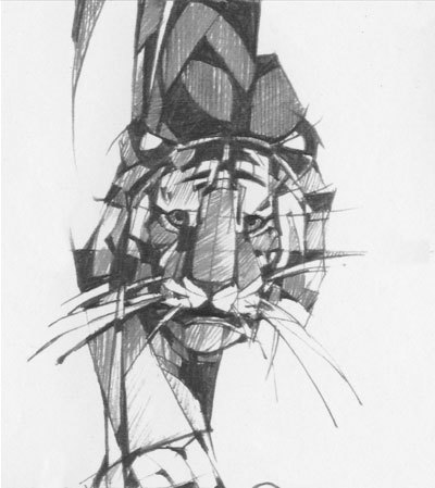 Под знаком тигра - i_014.jpg