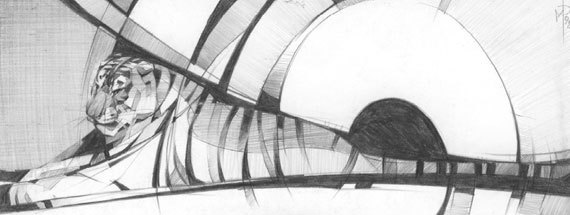 Под знаком тигра - i_018.jpg