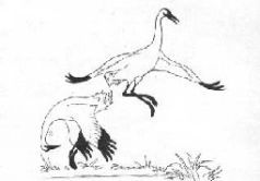 Жизнь и сказки Уолта Диснея - pic29.jpg