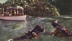 Жизнь и сказки Уолта Диснея - pic36.jpg