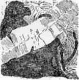 Поль и Виргиния. Индийская хижина - img_21.jpeg