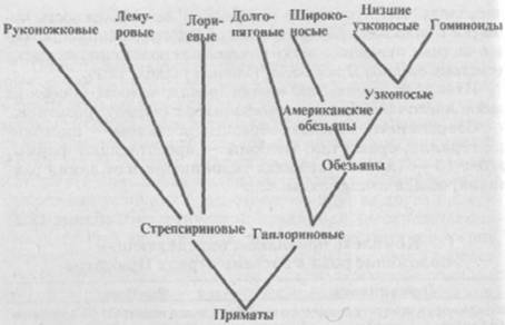 Антропология. Хрестоматия - i_001.jpg