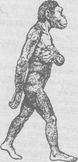 Антропология. Хрестоматия - i_006.jpg