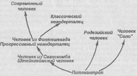 Антропология. Хрестоматия - i_014.jpg