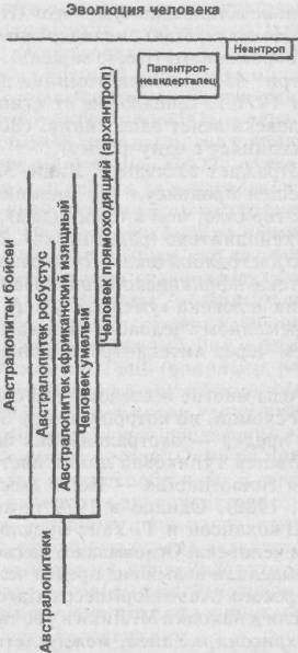 Антропология. Хрестоматия - i_024.jpg