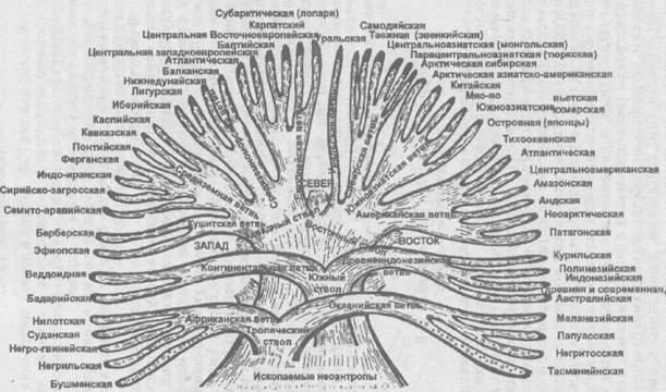 Антропология. Хрестоматия - i_043.jpg