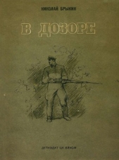  Брыкин Николай Александрович - В дозоре