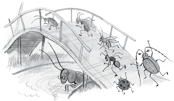 Сказки Корнея Чуковского в картинках В. Сутеева - i_010.png