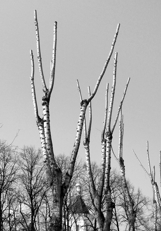 Пейзажная лирика - _19.jpg