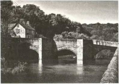 Войны роз. Йорки против Ланкастеров - i_025.jpg