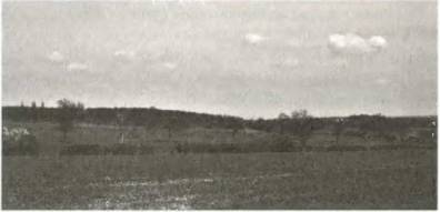 Войны роз. Йорки против Ланкастеров - i_094.jpg