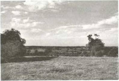 Войны роз. Йорки против Ланкастеров - i_102.jpg