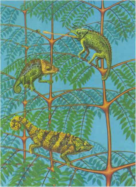 Коапп! коапп! коапп! выпуск 2 - i_007.jpg