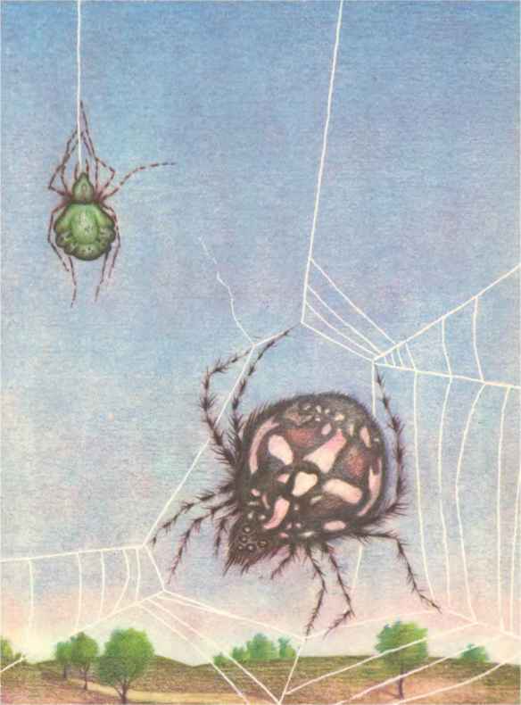 Коапп! коапп! коапп! вып. 8 - i_064.jpg