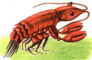 Коапп! спасите наши уши! - i_022.jpg