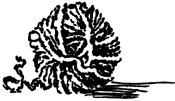 Синяя варежка - i_005.png