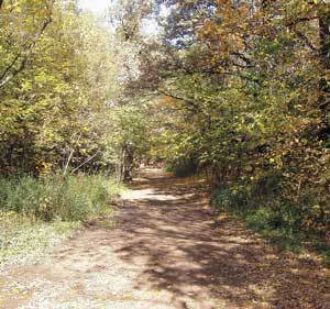 От 2 до 72. Книжка с картинками - i_165.jpg