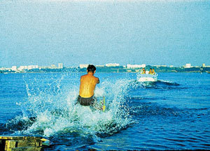 От 2 до 72. Книжка с картинками - i_195.jpg