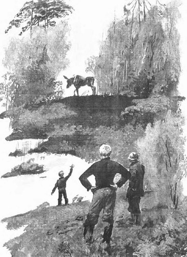 Здравствуй, тюменская нефть! - i_011.jpg