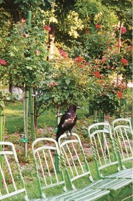 Вена. Путеводитель - _31.jpg