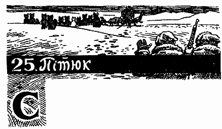 Полонені Білої пустелі - i_029.png