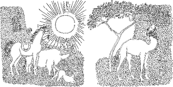 Сказки о животных (сборник) - i_008.png