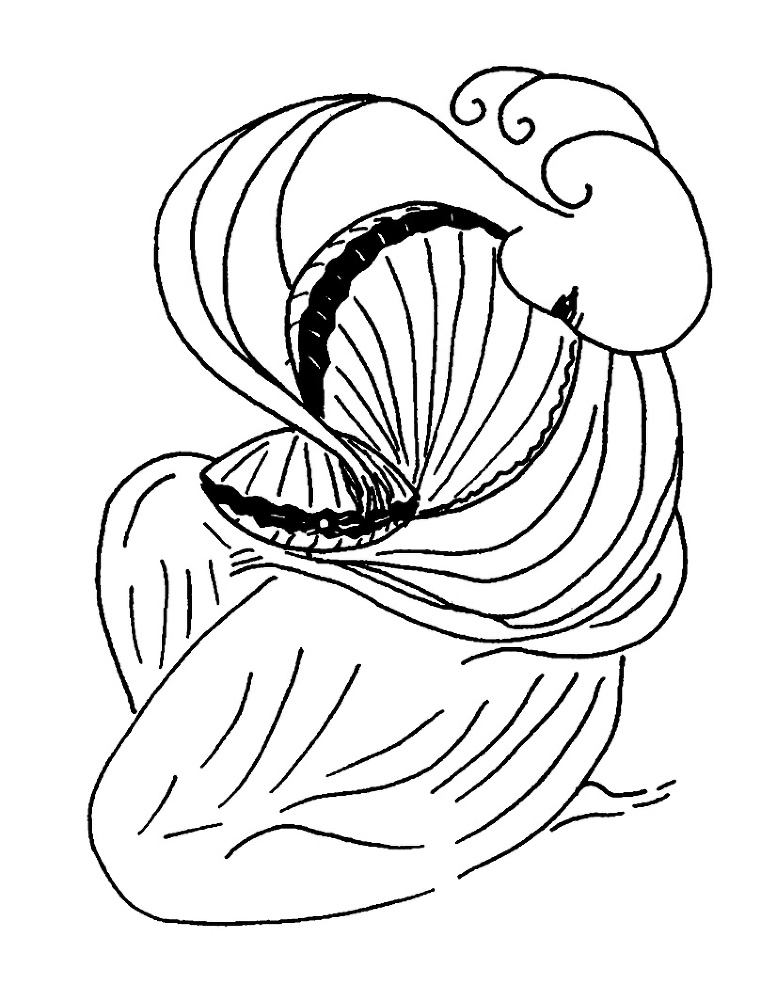 Рожденные сфинксами - _7.jpg