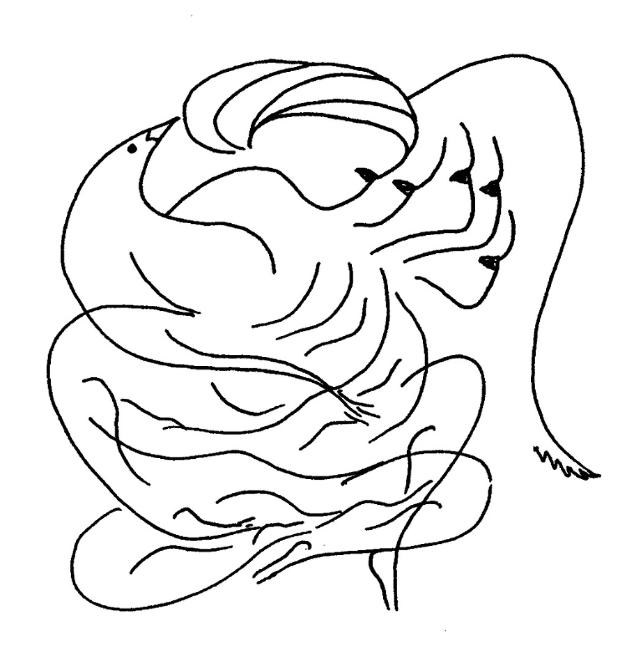 Рожденные сфинксами - _8.jpg