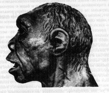 Расшифрованный код Ледового человека: От кого мы произошли, или Семь дочерей Евы - f4a.jpg