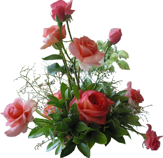 Наша бесценная доктор Ценная (воспоминания о нашей маме) - i_002.png