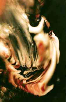 Мой каталог - _10.jpg