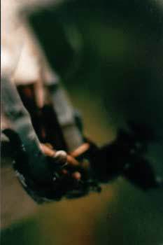 Мой каталог - _7.jpg