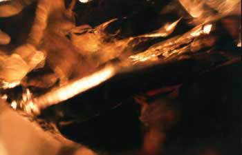 Мой каталог - _16.jpg