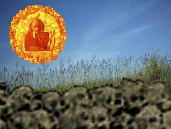 Мой каталог - _192.jpg