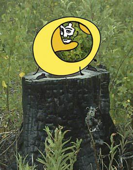 Мой каталог - _193.jpg