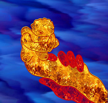 Мой каталог - _195.jpg