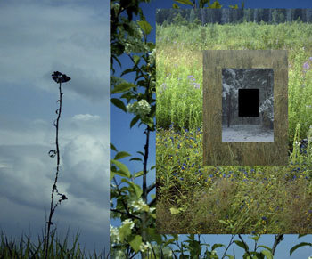 Мой каталог - _224.jpg