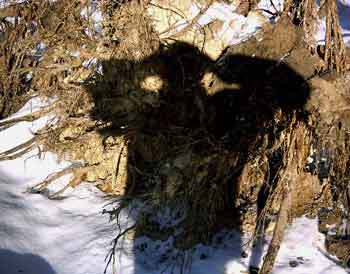 Мой каталог - _235.jpg