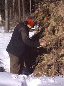 Мой каталог - _236.jpg