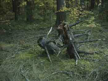 Мой каталог - _237.jpg