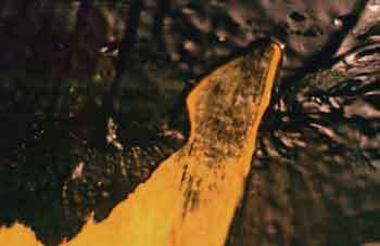 Мой каталог - _24.jpg