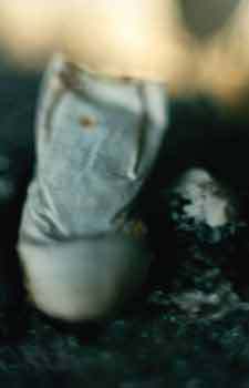 Мой каталог - _28.jpg