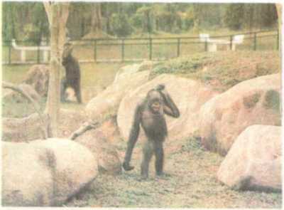 От кобры до медведя гризли - i_008.jpg