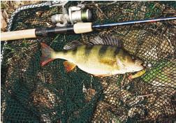 Рыбалка по открытой воде - i_040.jpg