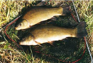 Рыбалка по открытой воде - i_053.jpg